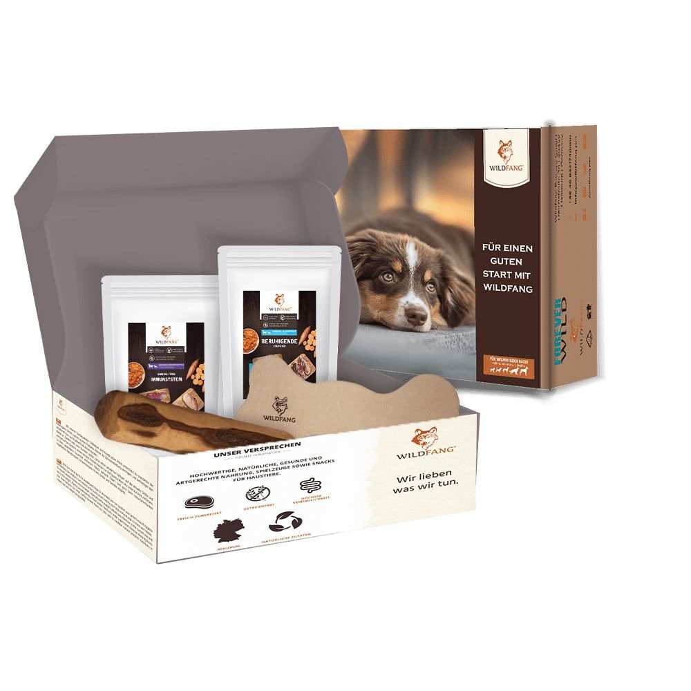 Paket "Abendrunde"-Hundebedarf-Wildfang-