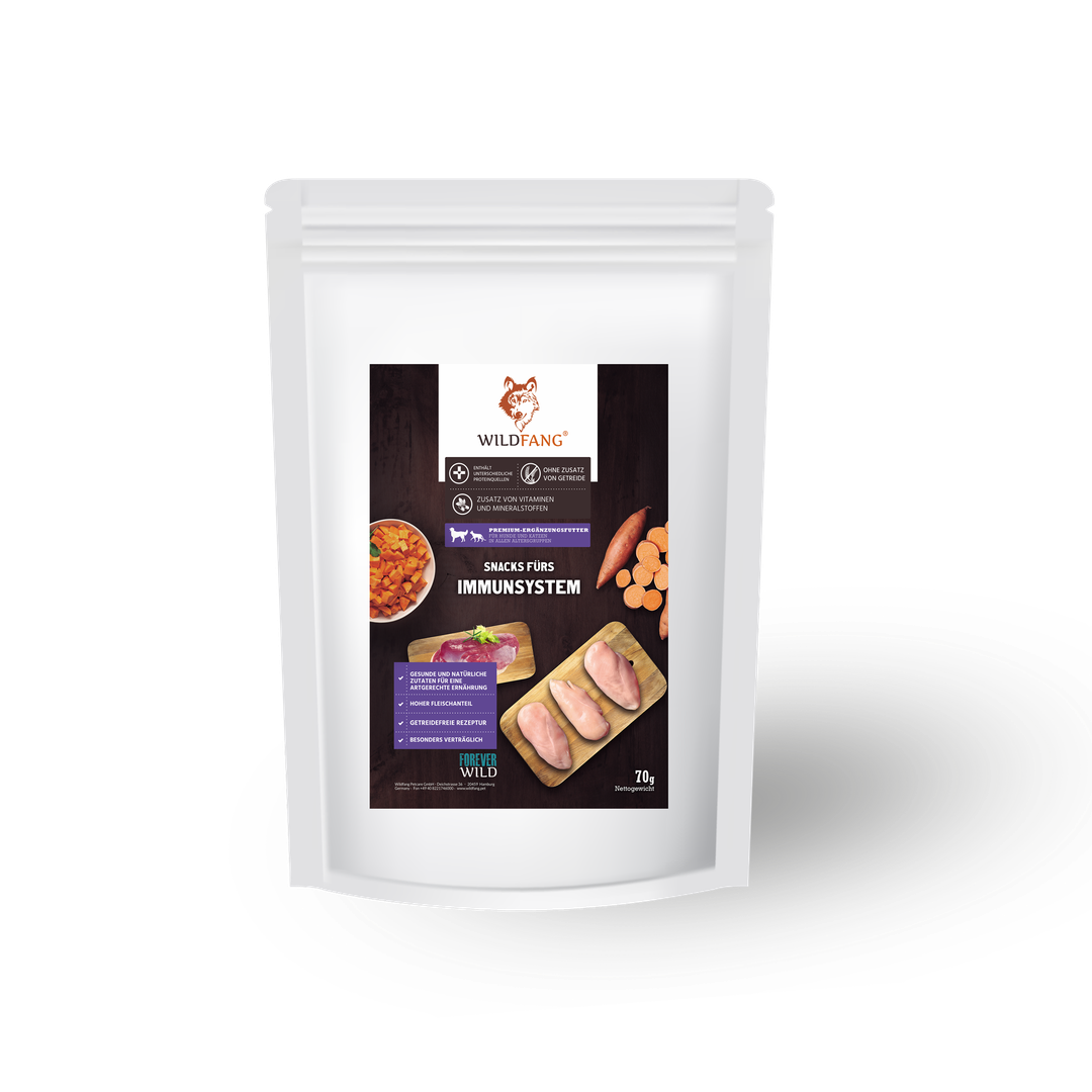 Paket "Morgenstunde"-Hundespielzeug-Wildfang-