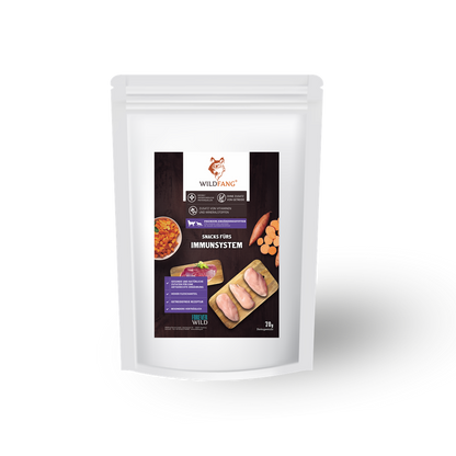 Paket "Morgenstunde"-Hundespielzeug-Wildfang-