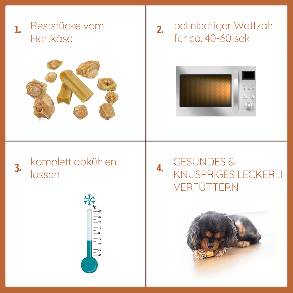 Paket "Snack gesund"-Hundespielzeug-Wildfang-