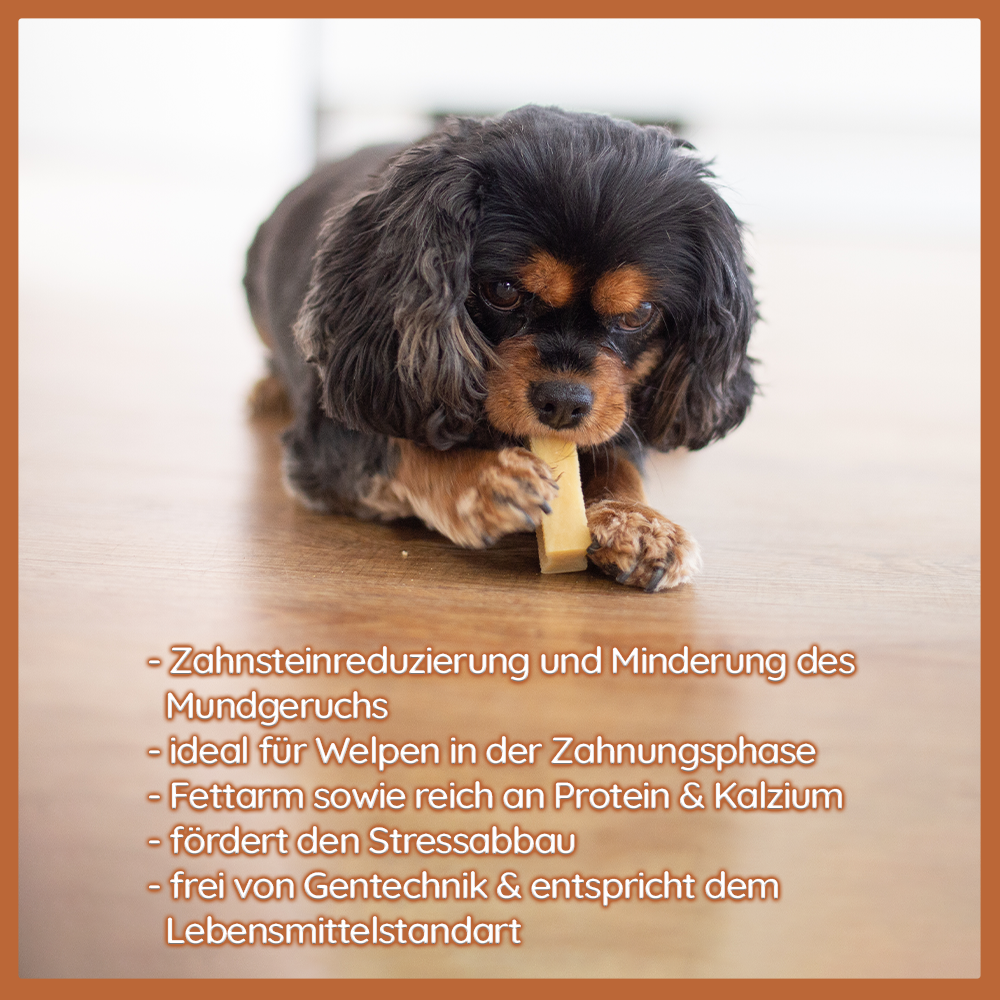 Paket "Snack gesund"-Hundespielzeug-Wildfang-