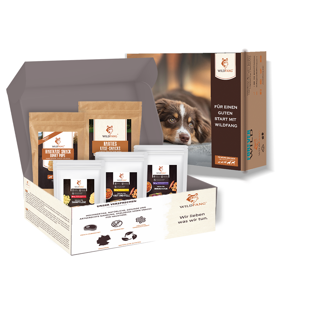Paket "Snack gesund"-Hundespielzeug-Wildfang-
