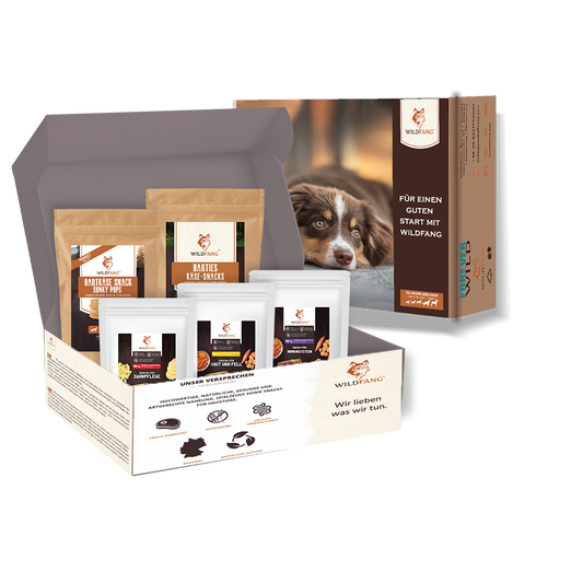 Paket "Snack gesund"-Hundespielzeug-Wildfang-