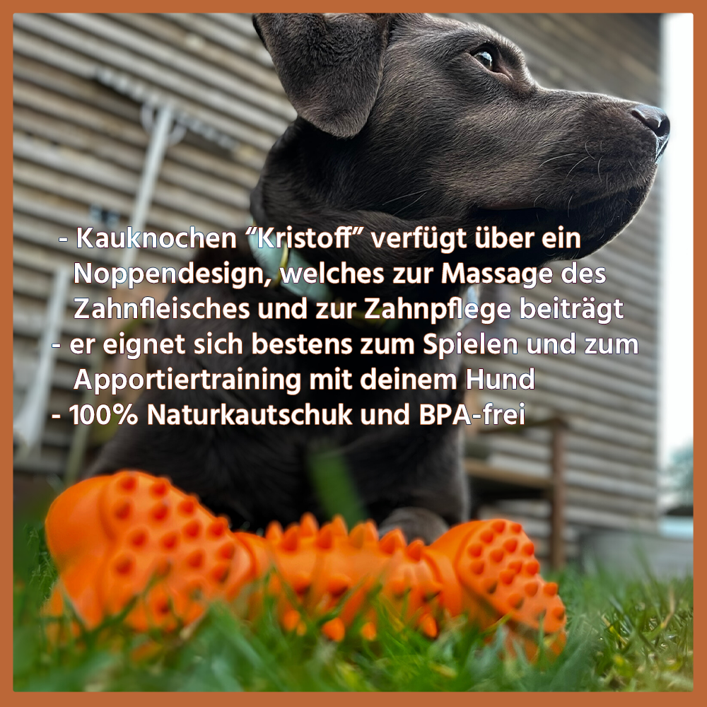 Kauspielzeug Quietschknochen "Kristoff" - 100% Naturkautschuk-Hundespielzeug-Wildfang-