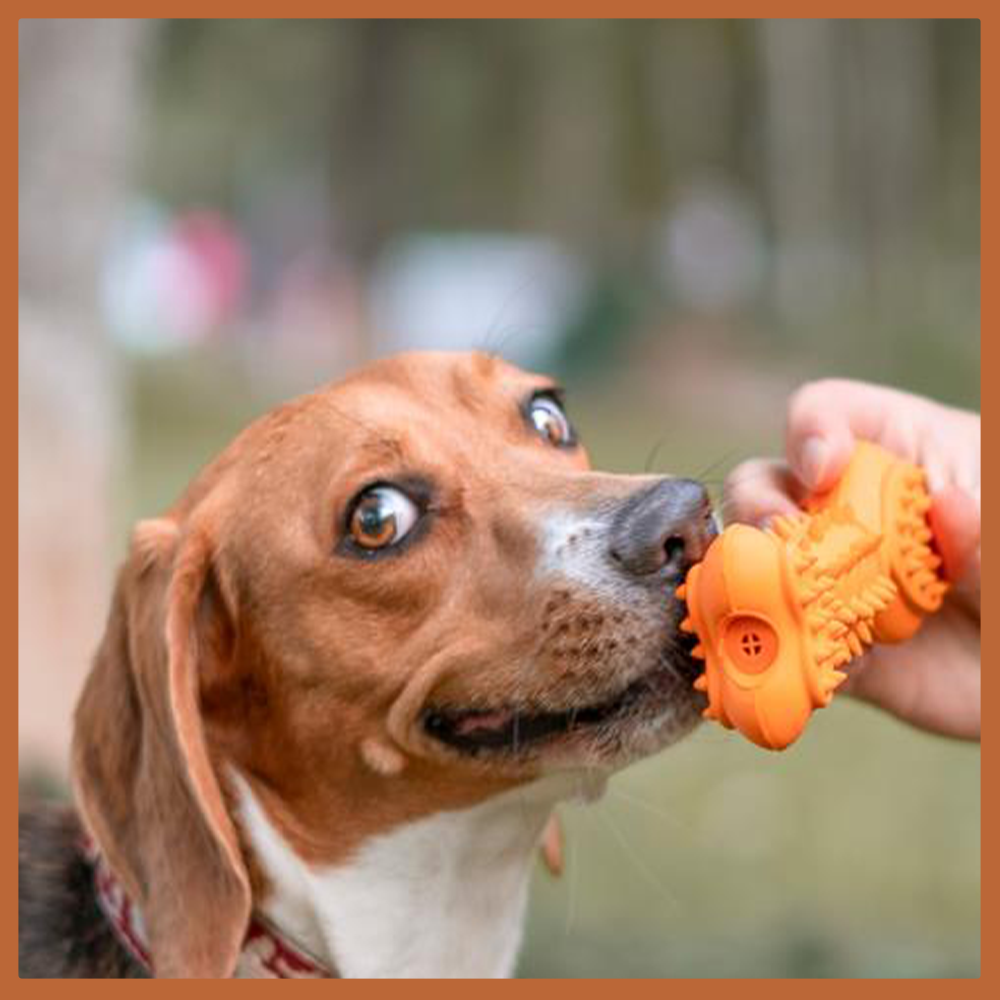 Kauspielzeug Quietschknochen "Kristoff" - 100% Naturkautschuk-Hundespielzeug-Wildfang-