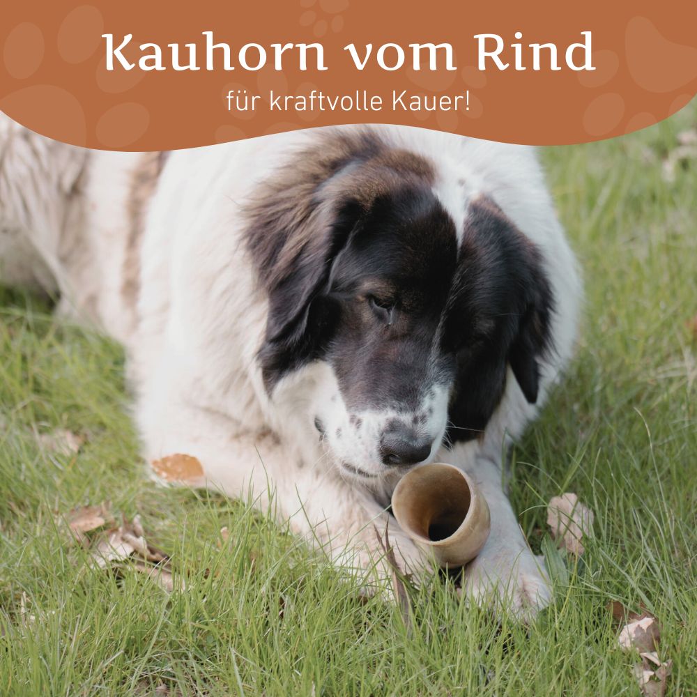 Rinderkauhorn - 3er Set-Hundespielzeug-Wildfang-