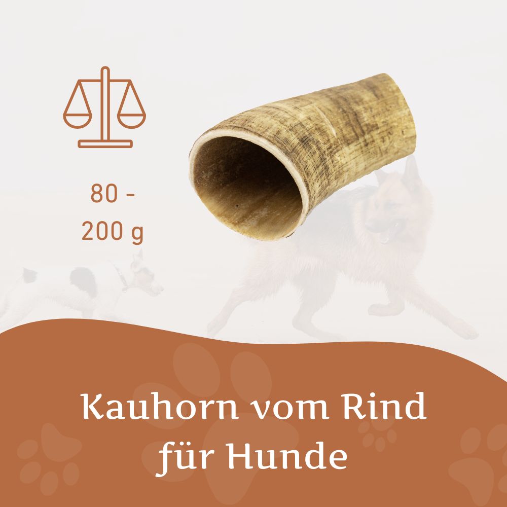 Rinderkauhorn - 3er Set-Hundespielzeug-Wildfang-