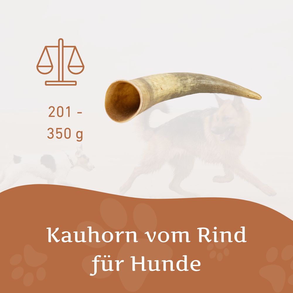 Rinderkauhorn - 3er Set-Hundespielzeug-Wildfang-