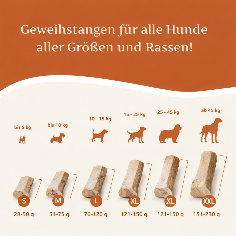 Rothirsch Kaugeweih - halbe Kaustange - 3er Set-Hundespielzeug-Wildfang-