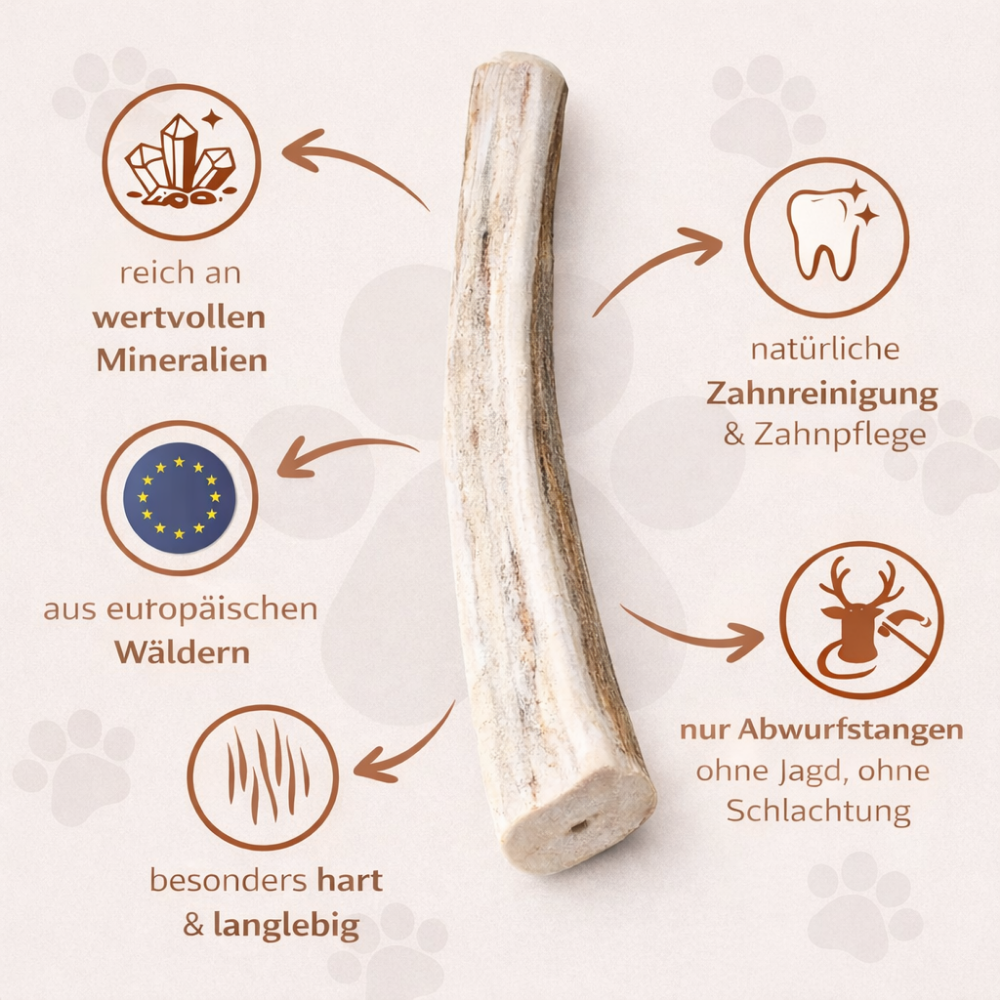 Rothirsch Kaugeweih - halbe Kaustange-Hundespielzeug-Wildfang-