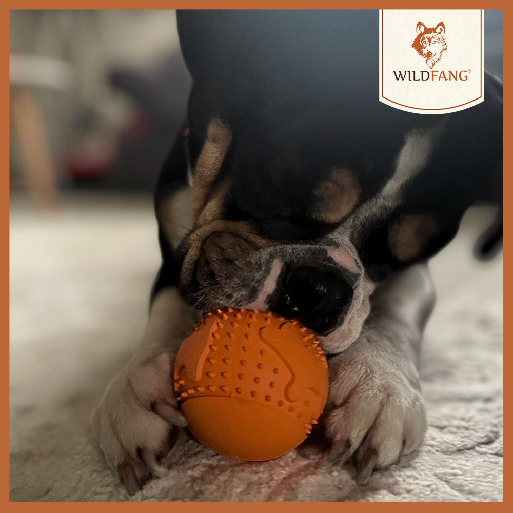 Kauspielzeug Snackball "Simba" - 100% Naturkautschuk-Hundespielzeug-Wildfang-