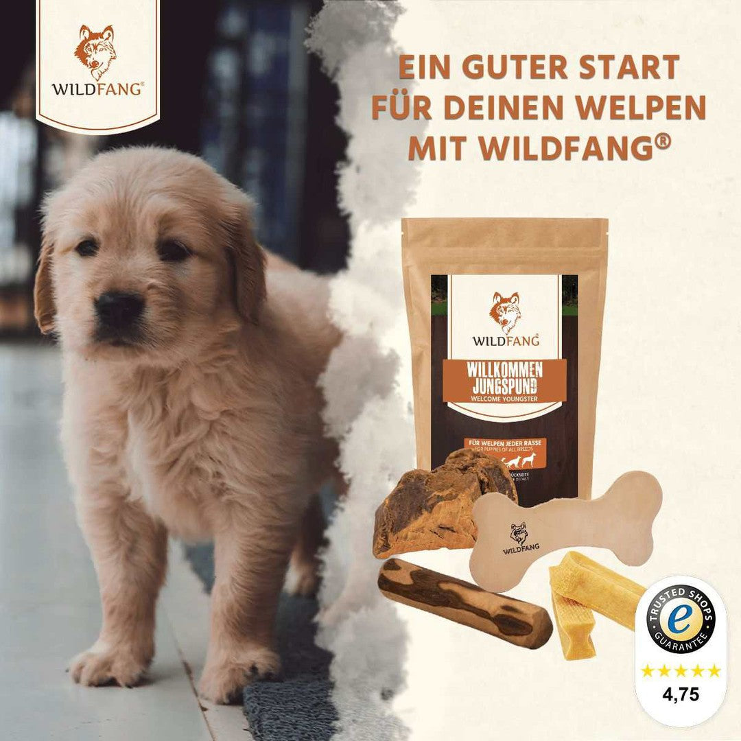 Welpen Paket "Willkommen Jungspund"-Hundespielzeug-Wildfang-