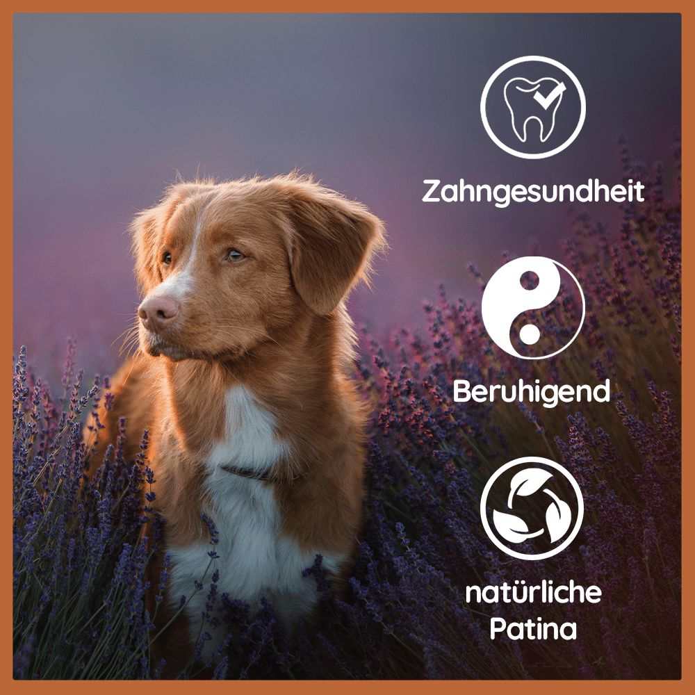 Welpen Paket "Willkommen Wegbegleiter"-Hundespielzeug-Wildfang-