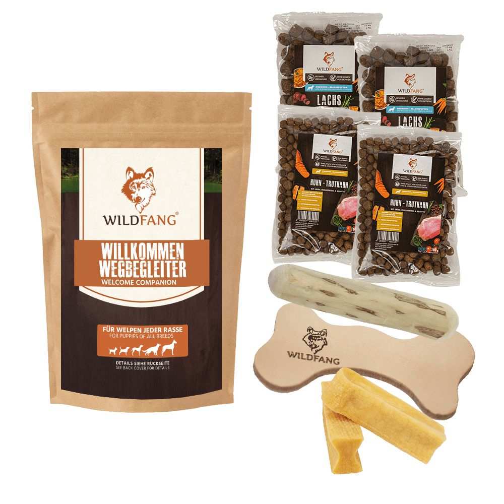 Welpen Paket "Willkommen Wegbegleiter"-Hundespielzeug-Wildfang-