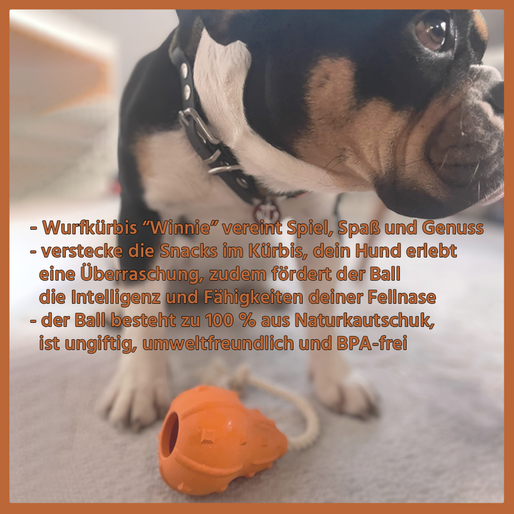 Kauspielzeug Wurfkürbis "Winnie" - 100% Naturkautschuk-Hundespielzeug-Wildfang-