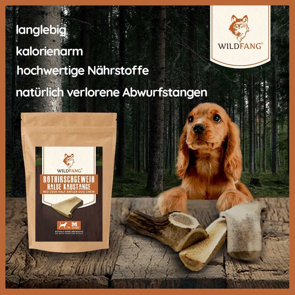 Rothirsch Kaugeweih - halbe Kaustange-Hundespielzeug-Wildfang-