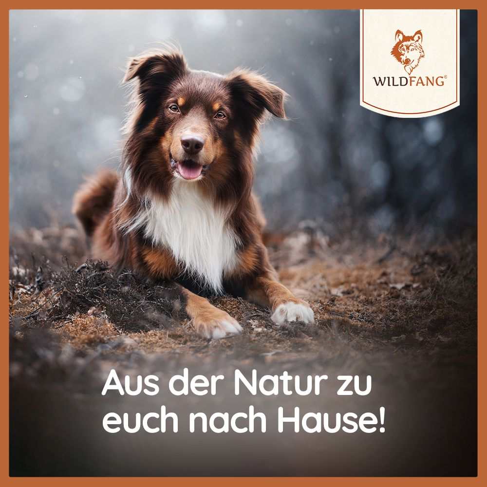 Kaugeweih Rothirsch - halbe Kaustange-Hundespielzeug-Wildfang-