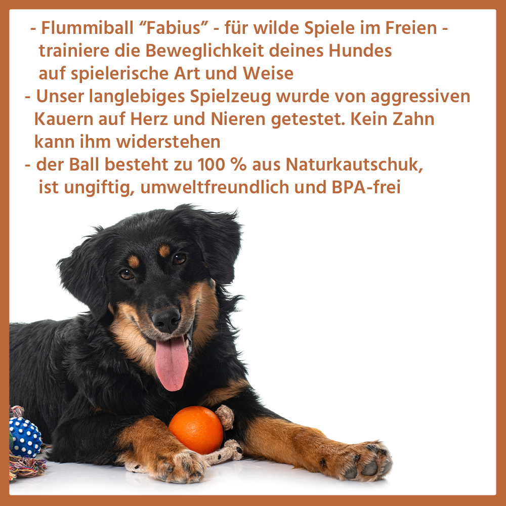 Kauspielzeug Flummiball "Fabius" - 100% Naturkautschuk-Hundespielzeug-Wildfang-