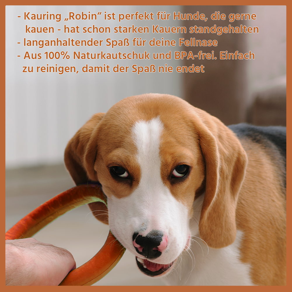Kauspielzeug Kauring "Robin" - 100% Naturkautschuk-Hundespielzeug-Wildfang-