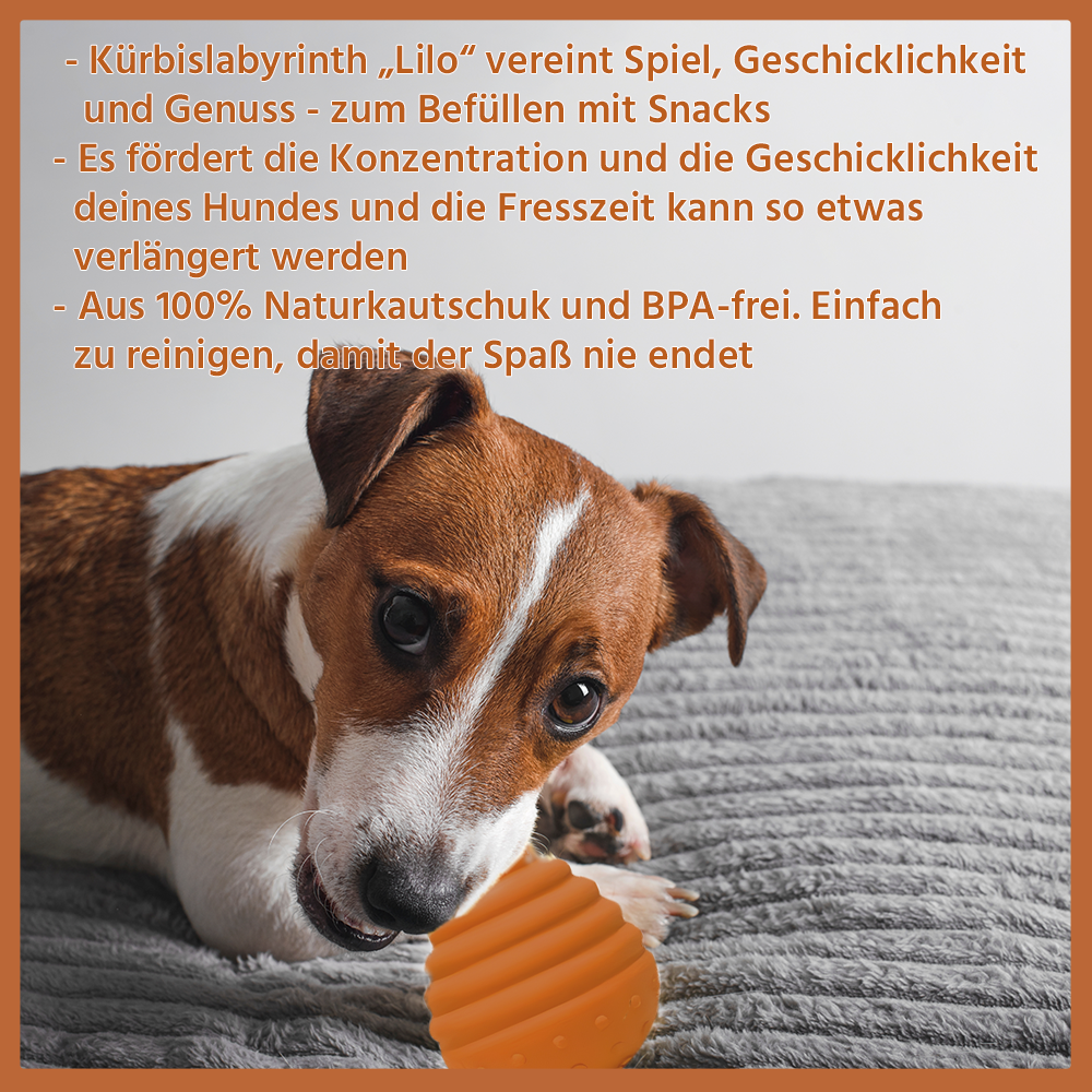 Kauspielzeug Kürbislabyrinth "Lilo" - 100% Naturkautschuk-Hundespielzeug-Wildfang-