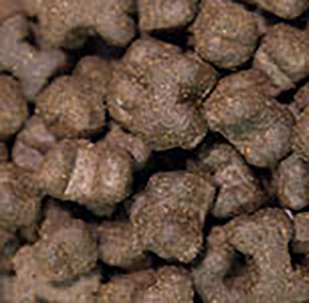 Zahnpflege Snacks - getreidefrei - 3er Set-Hundefutter-Wildfang-