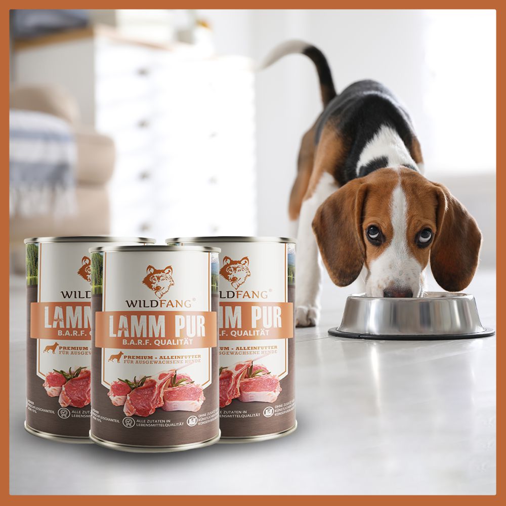 Nassfutter Lamm pur - BARF Qualität - 6er Set-Leckerbissen für Hunde-Wildfang-