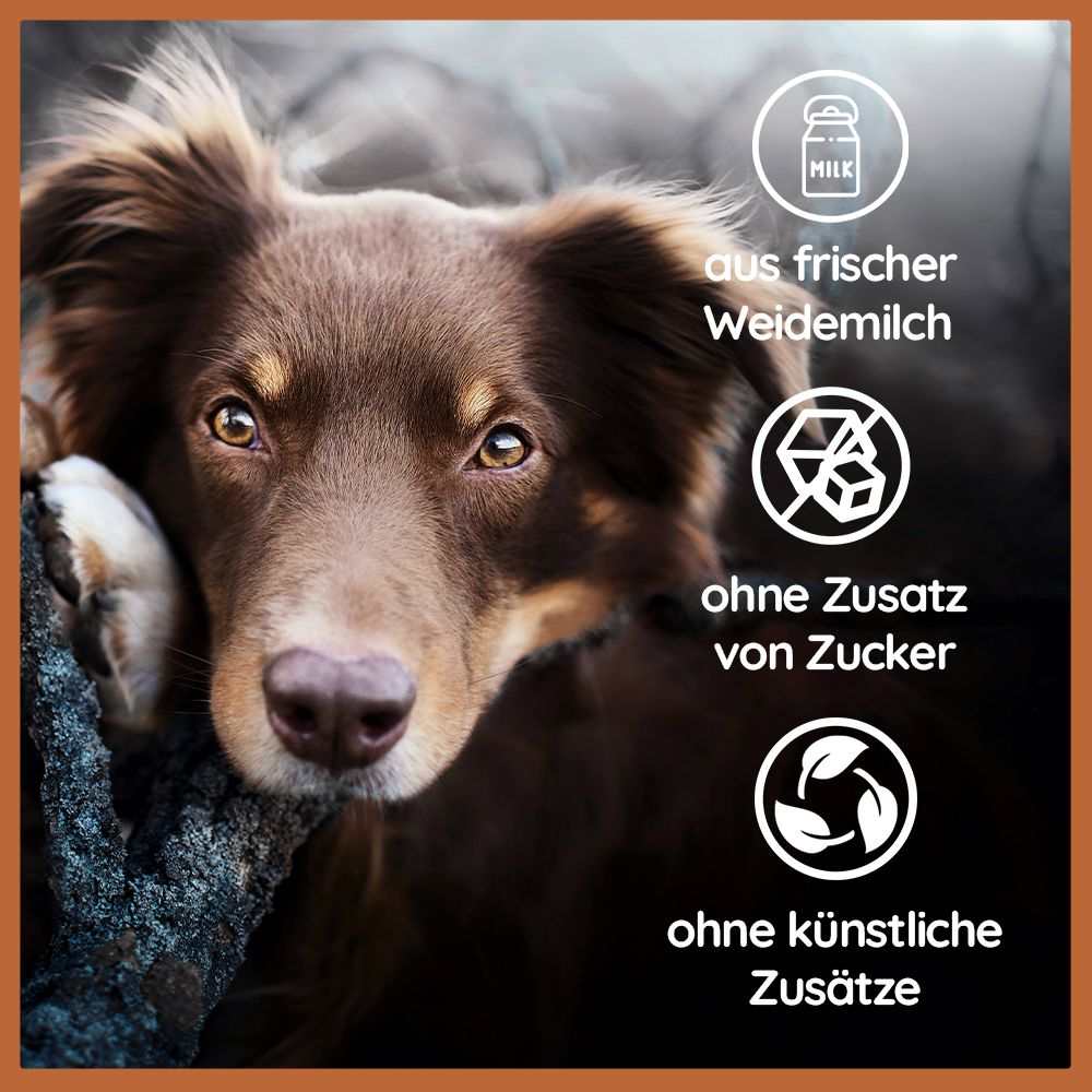 Käse Snack - Brocken - getreidefrei-Leckerbissen für Hunde-Wildfang-