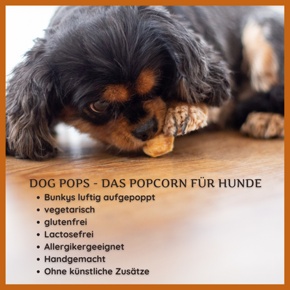 Dog Pops - Käse-Popcorn für Hunde-Hundefutter-Wildfang-