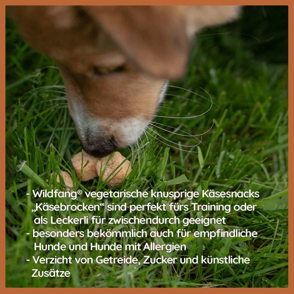 Käse Snacks Mix - Käse-Popcorn, Softies & Brocken - getreidefrei-Hundefutter-Wildfang-