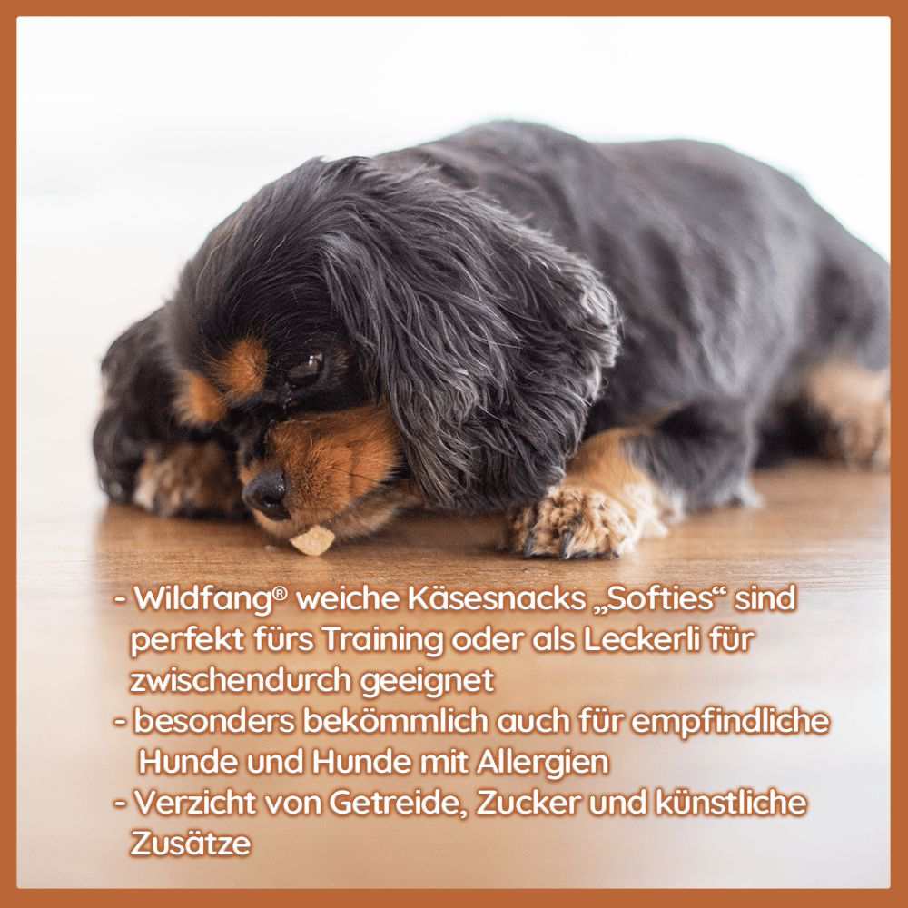 Käse Snacks Mix - Käse-Popcorn, Softies & Brocken - getreidefrei-Hundefutter-Wildfang-