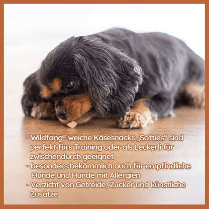 Käse Snacks Mix - Käse-Popcorn, Softies & Brocken - getreidefrei-Hundefutter-Wildfang-