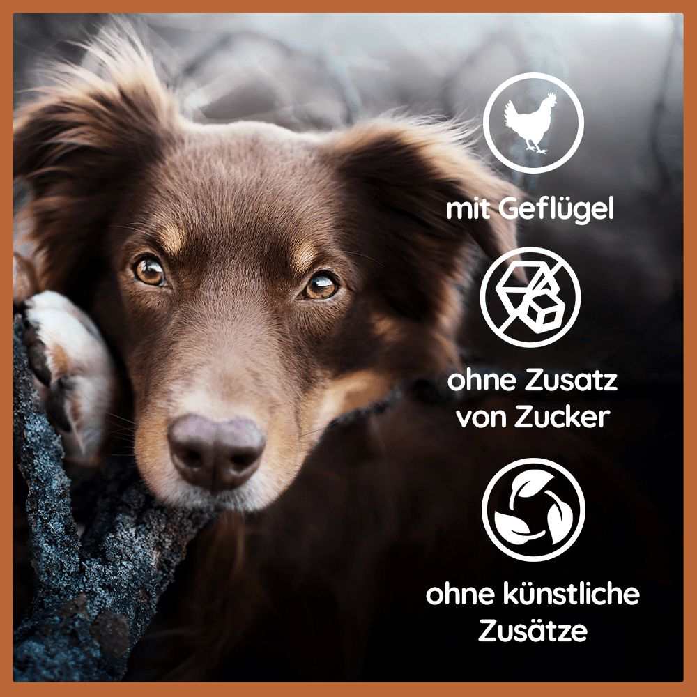 Käse Snacks Mix - Käse-Popcorn, Softies & Brocken - getreidefrei-Hundefutter-Wildfang-