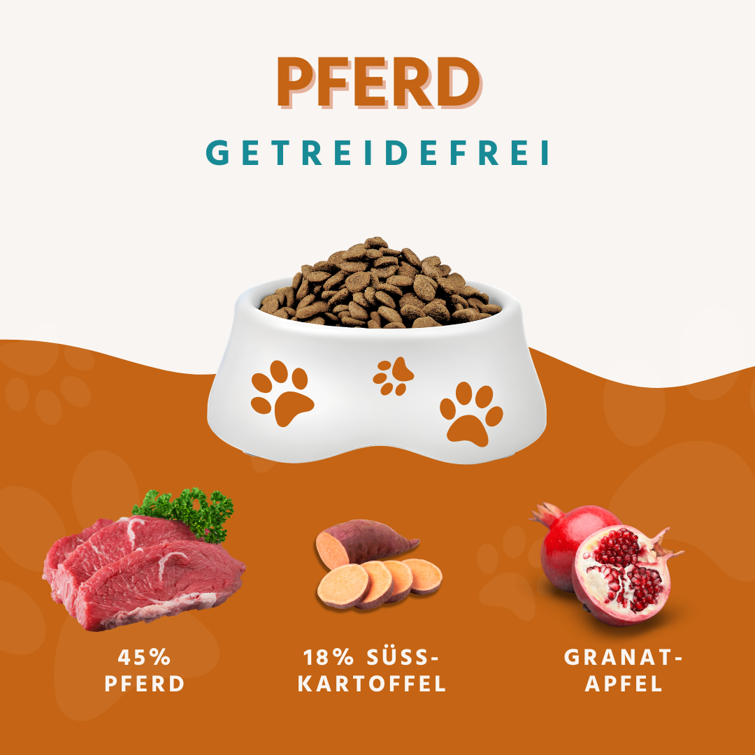 Adult Trockenfutter mit Pferd - getreidefrei-Hundefutter-Wildfang Petcare GmbH-