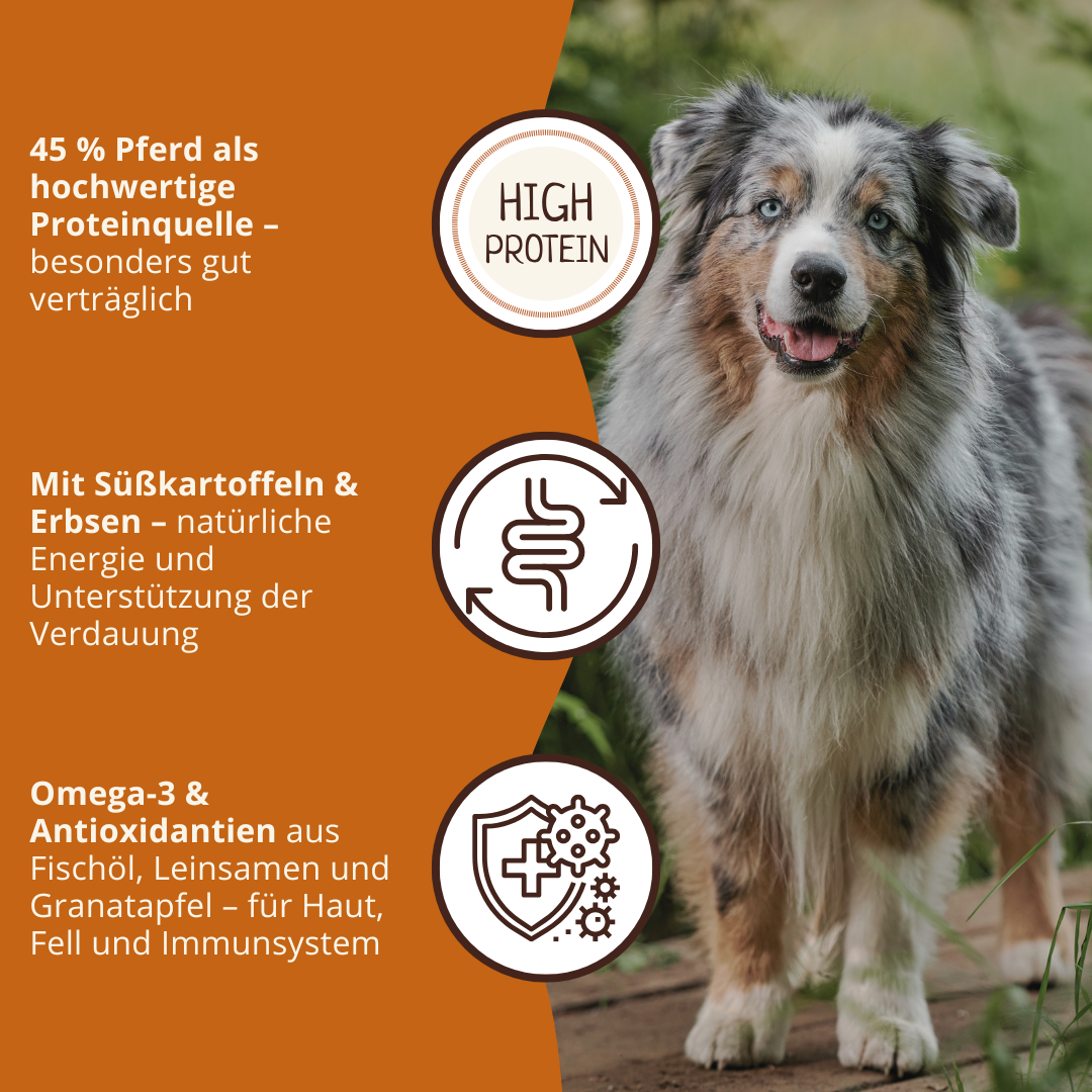 Adult Trockenfutter mit Pferd - getreidefrei-Hundefutter-Wildfang Petcare GmbH-