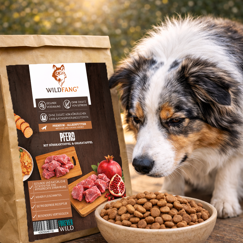 Adult Trockenfutter mit Pferd - getreidefrei-Hundefutter-Wildfang Petcare GmbH-