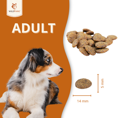 Adult Trockenfutter mit Pferd - getreidefrei-Hundefutter-Wildfang Petcare GmbH-