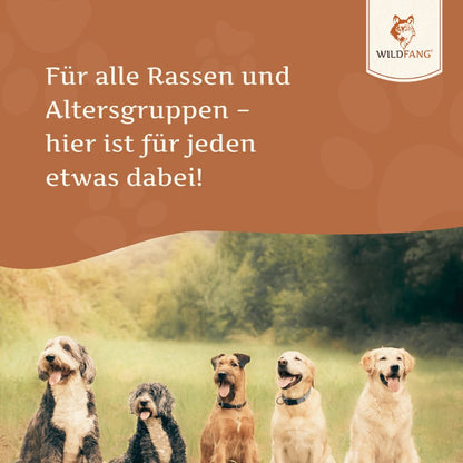 Lachsöl für Hunde - BARF-Öl - 250 ml-Hundefutter-Wildfang Petcare GmbH-