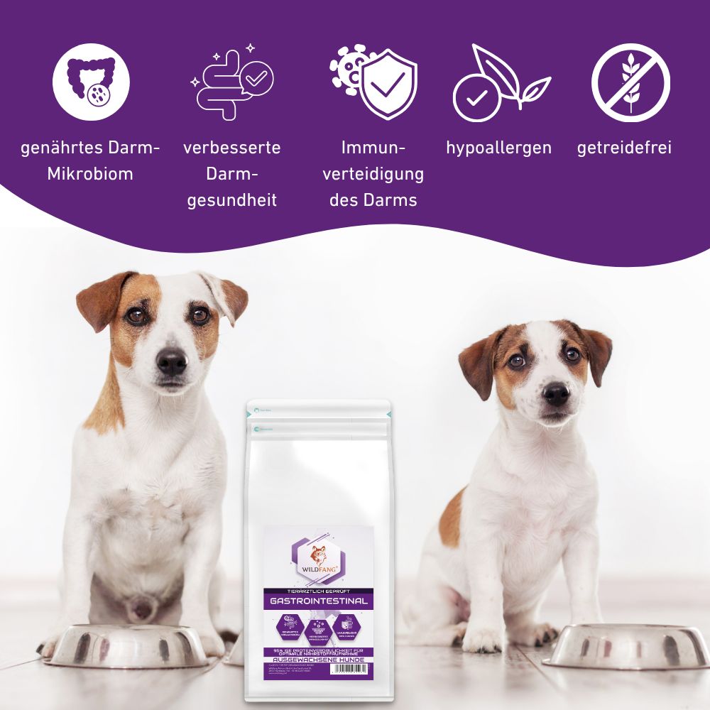 VetLine Trockenfutter mit Peptiden für Hunde - Gastrointestinal - 2 x 1,5 kg-Hundefutter-Wildfang Petcare GmbH-