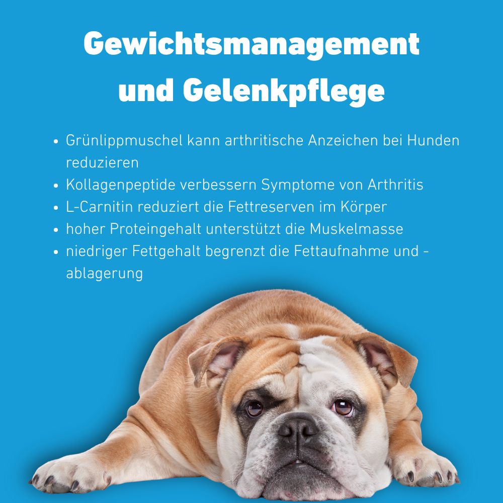 VetLine Trockenfutter mit Peptiden für Hunde - Gewichtskontrolle und Gelenkpflege - 2 x 1,5 kg-Hundefutter-Wildfang Petcare GmbH-