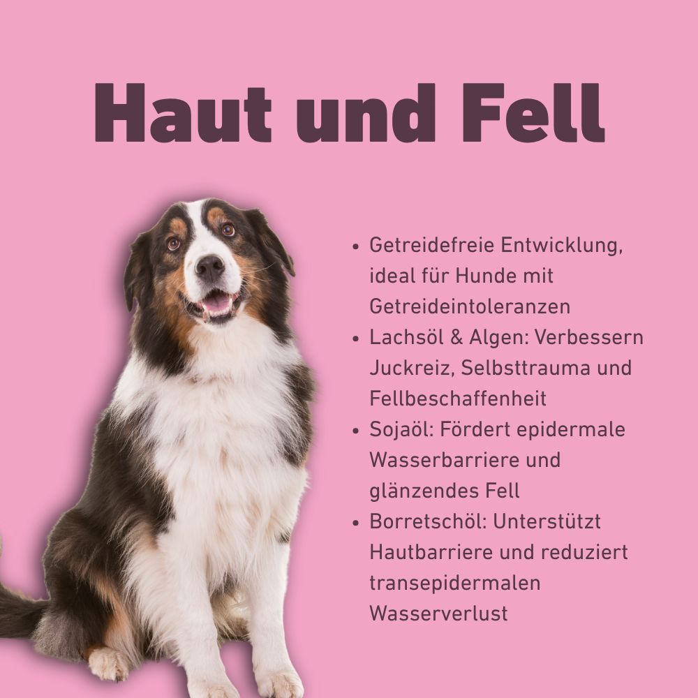 VetLine Trockenfutter mit Peptiden für Hunde - Haut und Fell - 2 x 1,5 kg-Hundefutter-Wildfang Petcare GmbH-