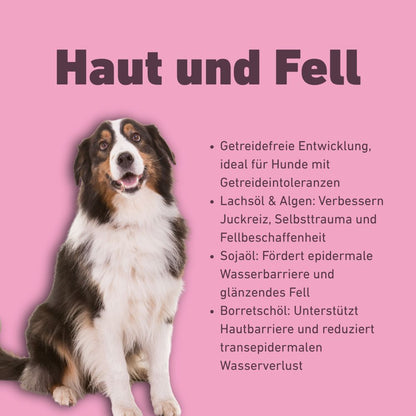 VetLine Trockenfutter mit Peptiden für Hunde - Haut und Fell - 2 x 1,5 kg-Hundefutter-Wildfang Petcare GmbH-