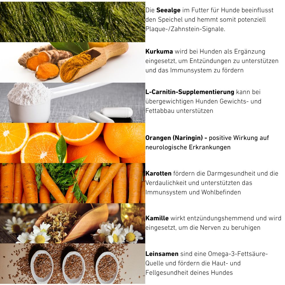 VetLine Trockenfutter mit Peptiden für Hunde - Hypoallergen - 2 x 1,5 kg-Hundefutter-Wildfang Petcare GmbH-