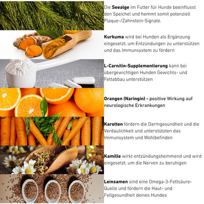 VetLine Trockenfutter mit Peptiden für Hunde - Hypoallergen - 2 x 1,5 kg-Hundefutter-Wildfang Petcare GmbH-