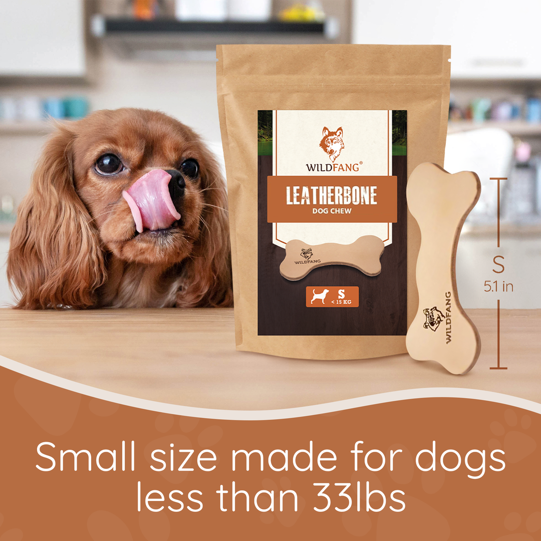 Paket "Feinschmecker Mini"-Hundebedarf-Wildfang-