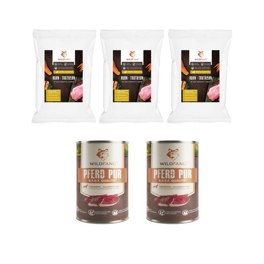 Genussbox Junior - Trocken- & Nassfutter-Hundebedarf-Wildfang-