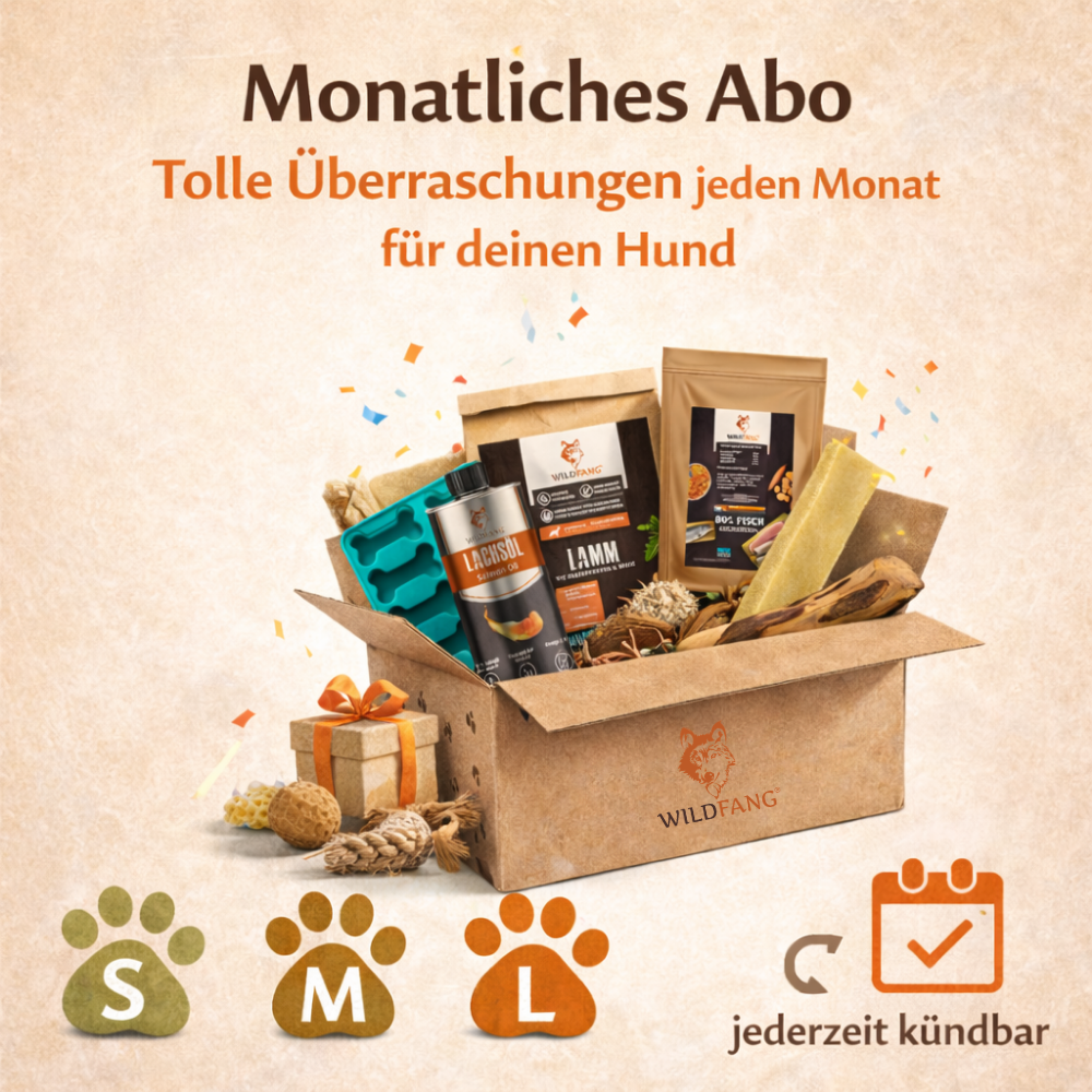 WauBox - das Überraschungspaket-Hundebedarf-Wildfang.pet-