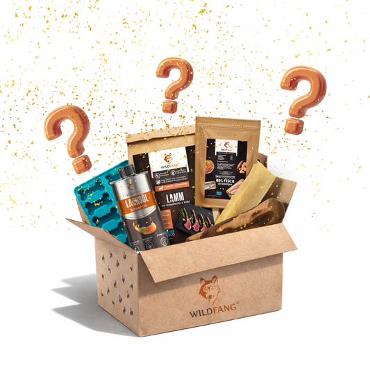 WauBox - das Überraschungspaket-Hundebedarf-Wildfang.pet-